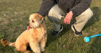 audrey pet sitter à NANCY 54000_5