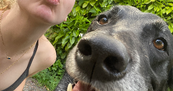 héline pet sitter à verneuil sur vienne 87430_3