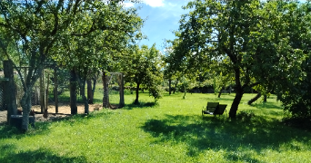 benedicte pet sitter à Longeau percey 52250_2