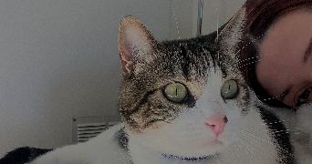 manon pet sitter à TOULOUSE 31200_2