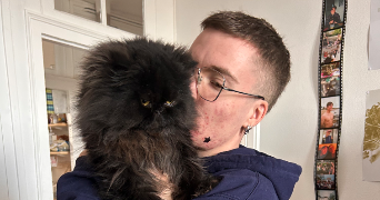 noé cat sitter à BOUGUENAIS 44000_2