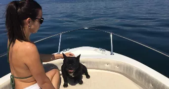 elodie pet sitter à MAREIL MARLY 78750