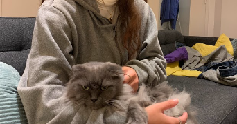 ines pet sitter à PARIS 15 75015_1