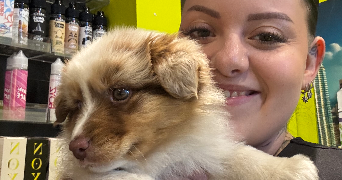 maëva pet sitter à CLOHARS FOUESNANT 29950_2