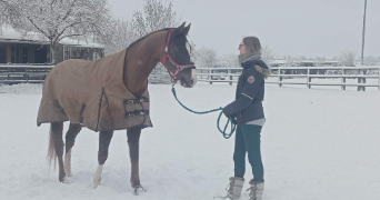 floriane pet sitter à MELEN 4633_3
