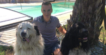 wadeck pet sitter à LORIENT 56100_0