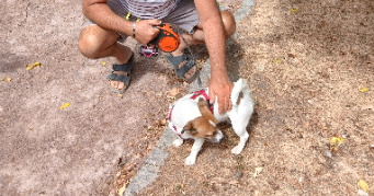 bruno pet sitter à VINCENNES 94300_6