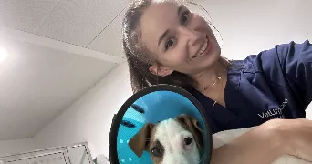 alexane pet sitter à EXCENEVEX 74140