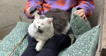 eve pet sitter à LILLE 59000_1