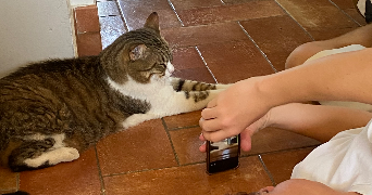Luna pet sitter à PARIS 11 75011_2