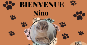 leslie anne pet sitter à STE GENEVIEVE DES BOIS 91700_4