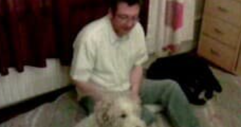 jackie pet sitter à DUNKERQUE 59430_0