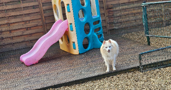 marlene pet sitter à AUNEAU BLEURY ST SYMPHORIEN 28700_35