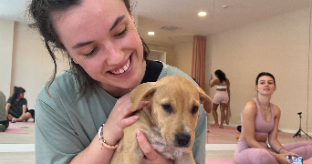 orlane pet sitter à CHARTRES DE BRETAGNE 35131_0