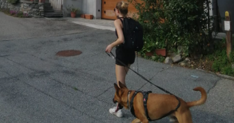 caroline pet sitter à FORCE 53260_0