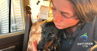 benjamine pet sitter à BALAZE 35500_1