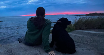 jade pet sitter à DOMPIERRE SUR YON 85170_1