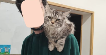 jacotte pet sitter à BAUDREVILLE 28310_3