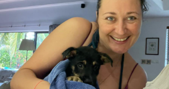 christel pet sitter à ST JORY 31790_0