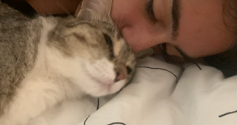 célia pet sitter à Bihorel 76420_4