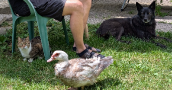 caroline pet sitter à PRIVAS 07000_2