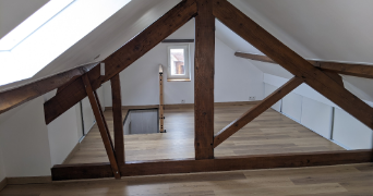 amandine pet sitter à Limoges 87000_1