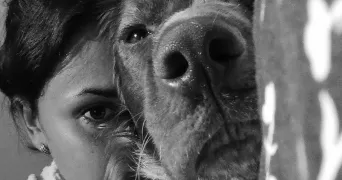 eva pet sitter à ST AUBIN LES ELBEUF 76410