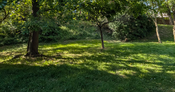 anju pet sitter à CLAMART 92140_3