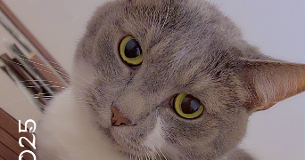 sarah pet sitter à CAEN 14000_5