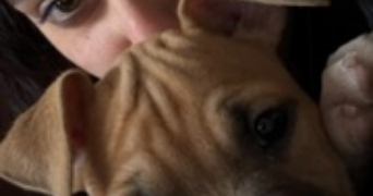 yuka pet sitter à COLOMIERS 31770_3