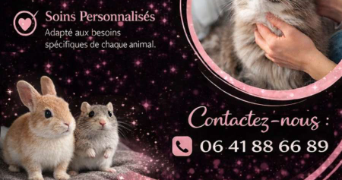 april pet sitter à ISTRES 13800_5