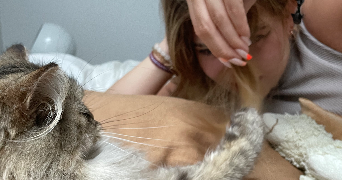 maelys pet sitter à SAINT GRÉGOIRE 35760_2