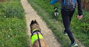 camille pet sitter à CHAMBLY 60230_1