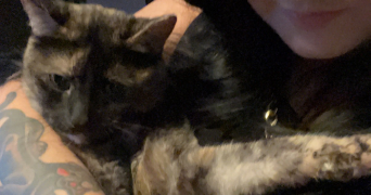 déborah pet sitter à BETHENIVILLE 51490_4