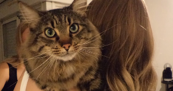 ophelia pet sitter à MONTPELLIER 34000_5