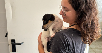 marine pet sitter à TOULOUSE 31300_0