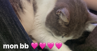 salomé pet sitter à ANGERS 49000_7