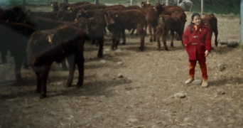 sophie pet sitter à GISORS 27140_4