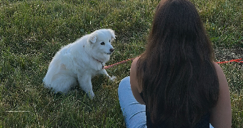 lucile pet sitter à CHAMPCLAUSE 43260_2