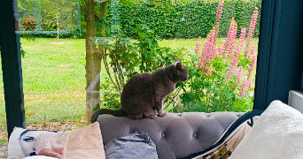 muriel  pet sitter à Beauvais 60000_4