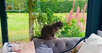 muriel  pet sitter à Beauvais 60000