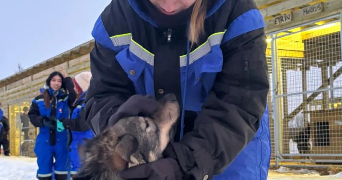 carla pet sitter à LE MANS 72000_2