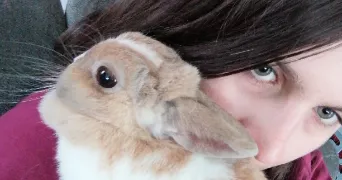 marine pet sitter à VINAY 38470