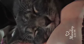 poiret pet sitter à MONTARGIS 45200