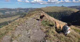 camille pet sitter à VILLEFRANCHE DU PERIGORD 24550_3