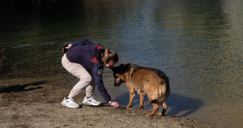 eva pet sitter à CASTELSARRASIN 82100_1
