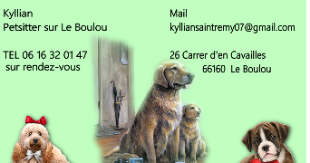 kyllian  pet sitter à LE BOULOU 66160_6