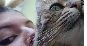 elisa cat sitter à LA FRETTE SUR SEINE 95530_0