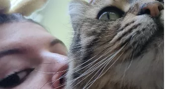 elisa cat sitter à LA FRETTE SUR SEINE 95530