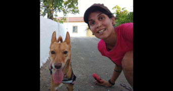 renata pet sitter à VILLEURBANNE 69100_7
